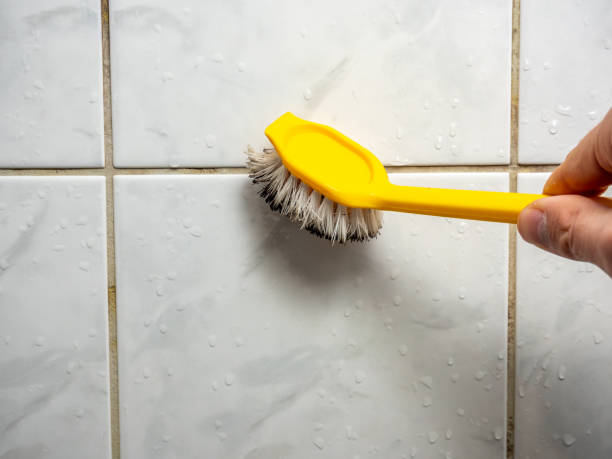 Best Mold Removal Company Near Me  in St Cloud, FL