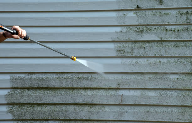 Best Mold Removal Process  in St Cloud, FL