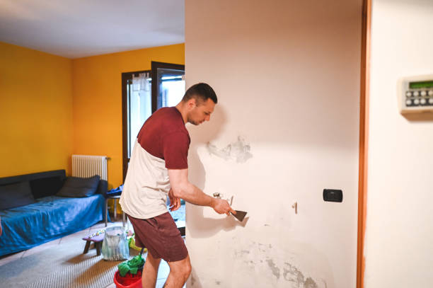 Best Mold Damage Repair  in St Cloud, FL